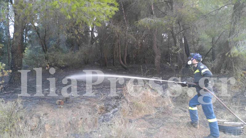 φωτιά στο Στρέφι