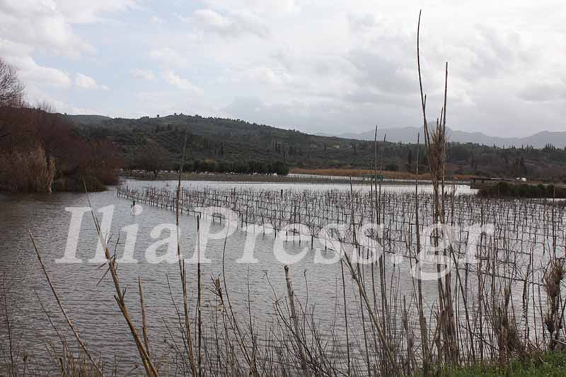 Υπερχείλισε ο Αλφειός