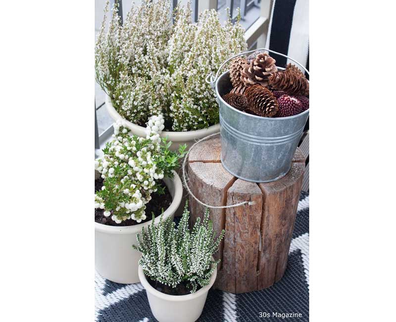 Φθινοπωρινό μπαλκόνι 2019